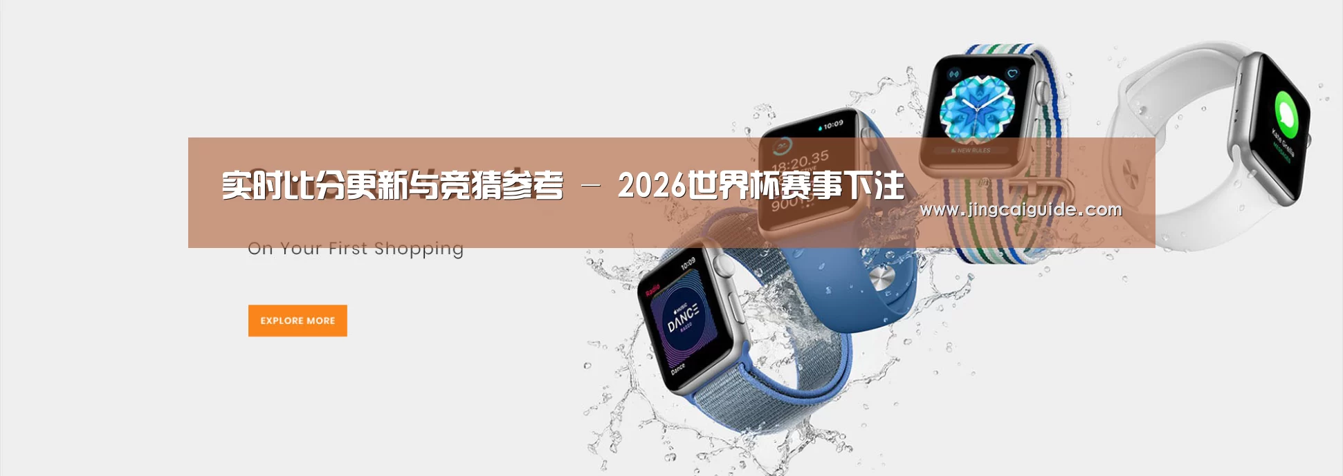 某某网络科技有限公司