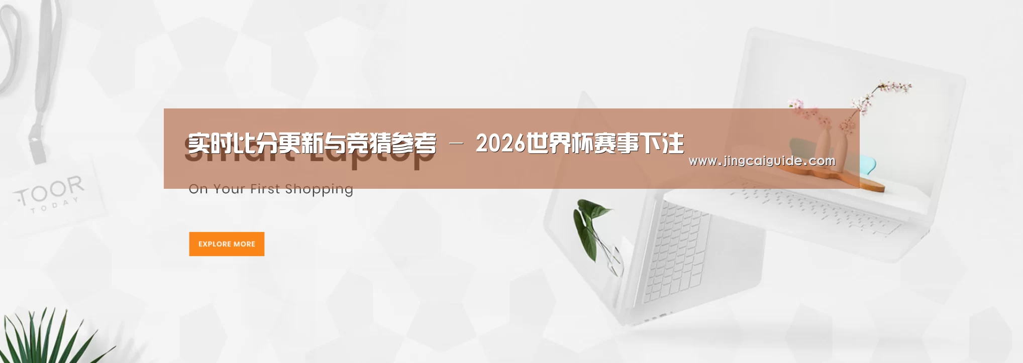 某某网络科技有限公司