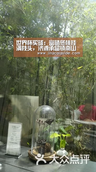 世界杯下注