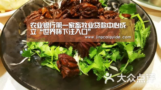世界杯下注