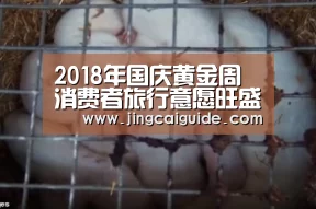2018年国庆黄金周消费者旅行意愿旺盛‘世界杯下注入口’(图2) 世界杯下注官网
