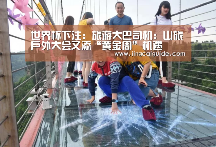 世界杯下注入口