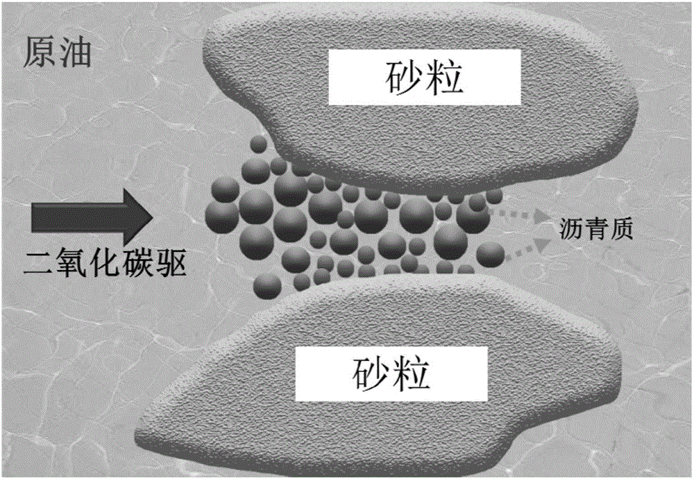 零团费港澳游死灰复燃 免费券钻法律漏洞|世界杯下注入口(图4) 世界杯买球