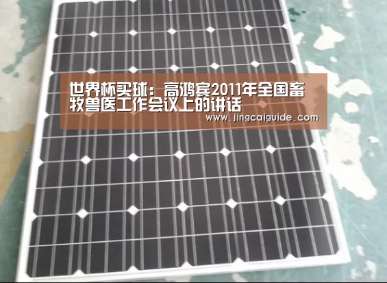 世界杯买球:高鸿宾2011年全国畜牧兽医工作会议上的讲话(图4) 世界杯下注官网