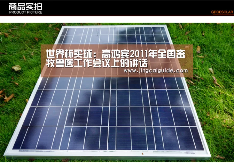 世界杯买球:高鸿宾2011年全国畜牧兽医工作会议上的讲话(图1) 世界杯下注入口