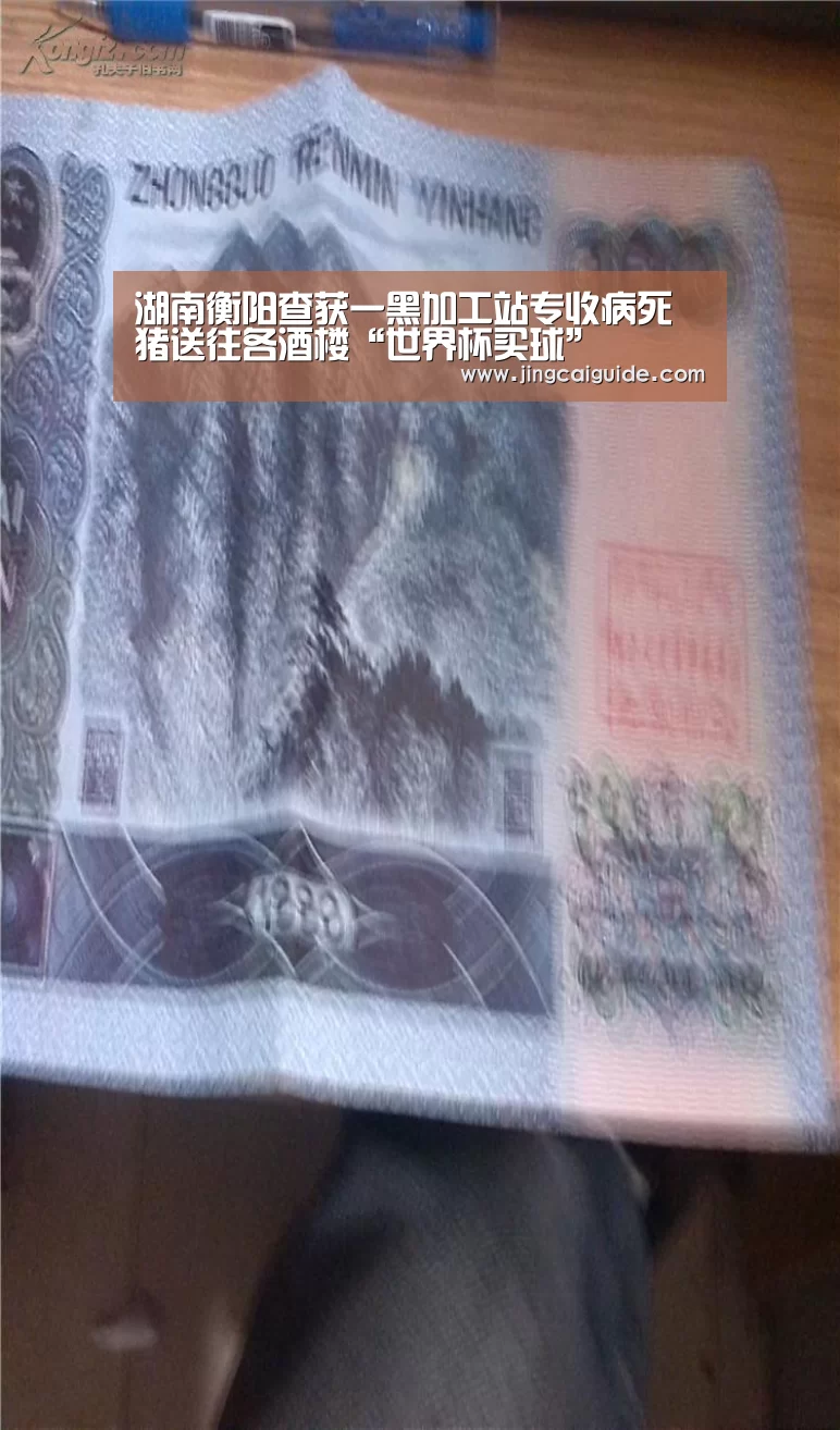湖南衡阳查获一黑加工站专收病死猪送往各酒楼“世界杯买球”(图3) 世界杯下注
