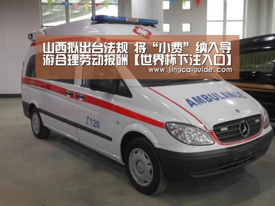 山西拟出台法规 将“小费”纳入导游合理劳动报酬【世界杯下注入口】(图1) 世界杯下注官网