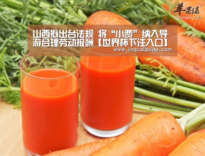 山西拟出台法规 将“小费”纳入导游合理劳动报酬【世界杯下注入口】(图2) 世界杯买球