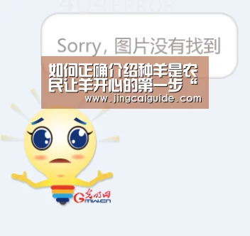 世界杯下注官网