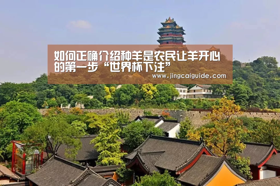世界杯下注入口