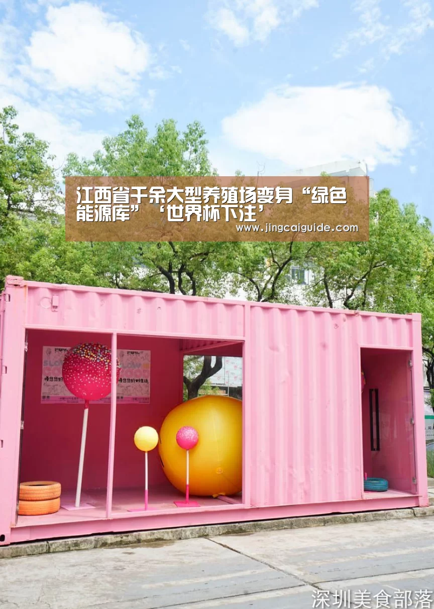 世界杯下注入口